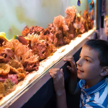 SEA LIFE Scarborough