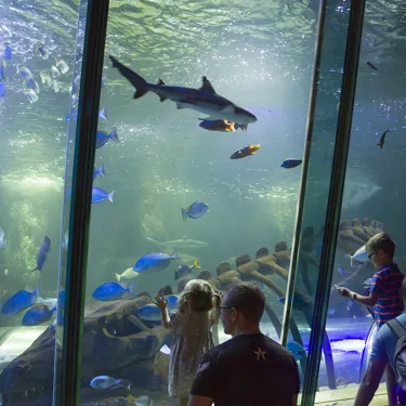 SEA LIFE Sanctuary Hunstanton